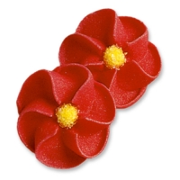 100 pcs Red flowers