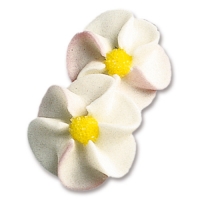 100 pcs Apple blossoms