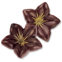 76 pcs Chocolate blossom