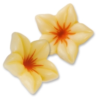 76 pcs White chocolate blossom