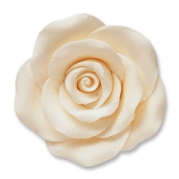 24 pcs Large roses, white