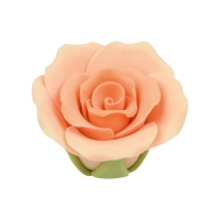 30 pcs Medium roses, salmon
