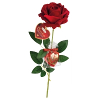 12 pcs Velvet rose with praline heart