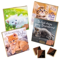 16 pcs Choco praline box with sayings   Cats  , assorted