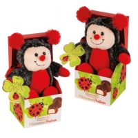 12 pcs Plush ladybird on box, filled with pralines