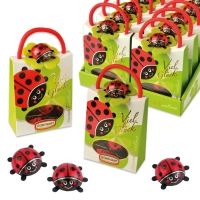 12 pcs Ladybird bag filled with choco ladybirds