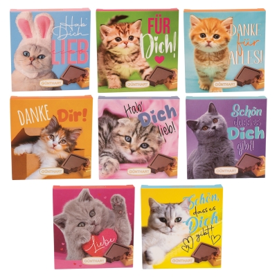 16 pcs Small praline gift  Cats , assorted 