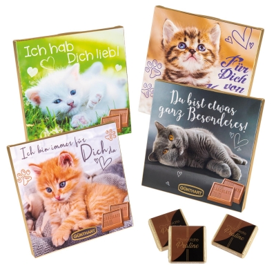16 pcs Choco praline box with sayings   Cats  , assorted 