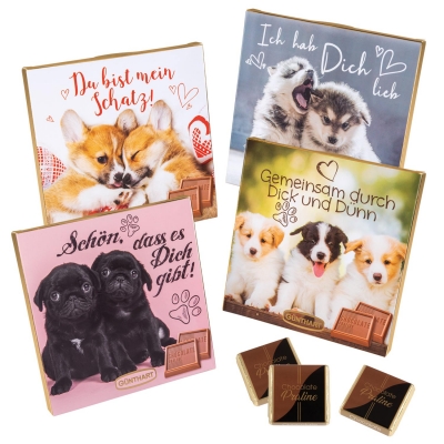 16 pcs Choco praline box with sayings   Dogs  , assorted 