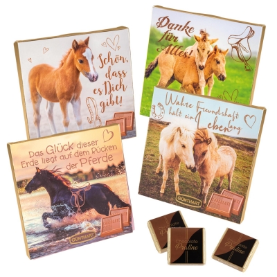 16 pcs Choco praline box with sayings   Horse  , assorted 